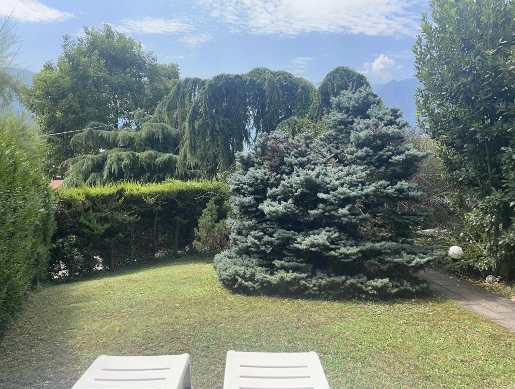 Villa Natura appartamento Open Space con giardino 4