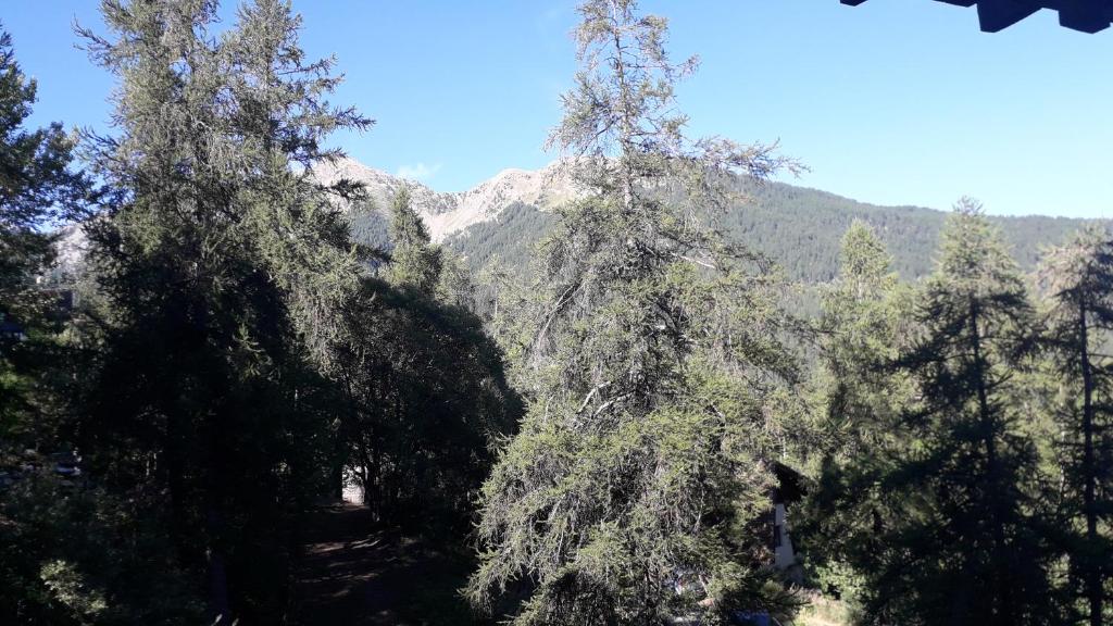 un groupe d'arbres avec une montagne en arrière-plan dans l'établissement Au Petit Conf'Orres, aux Orres