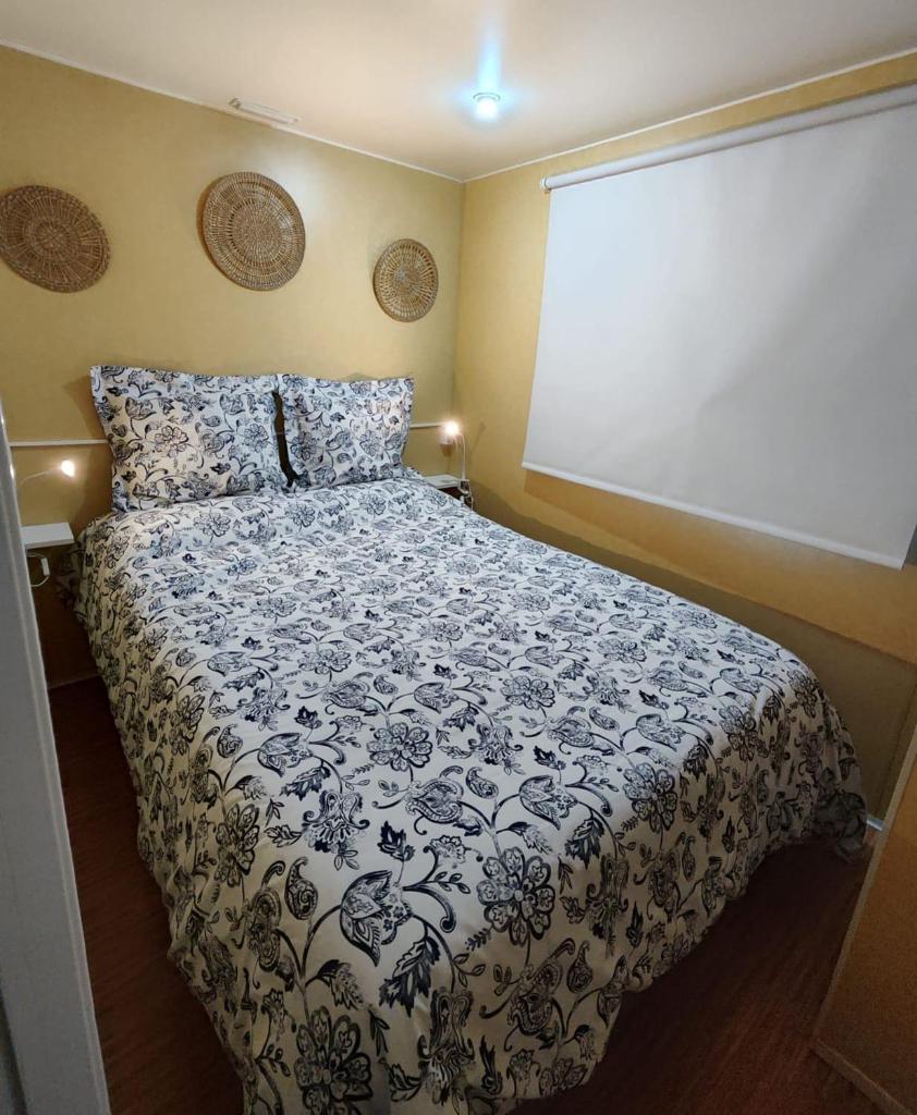 La Casa del Zanahorio 7
