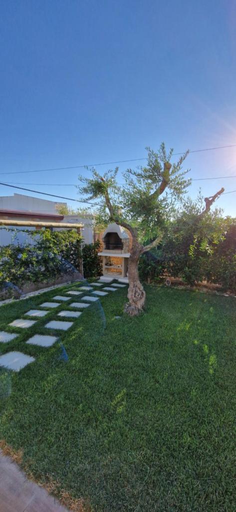 une maison avec un arbre au milieu d'une cour dans l'établissement Casa Valerio, à Conversano