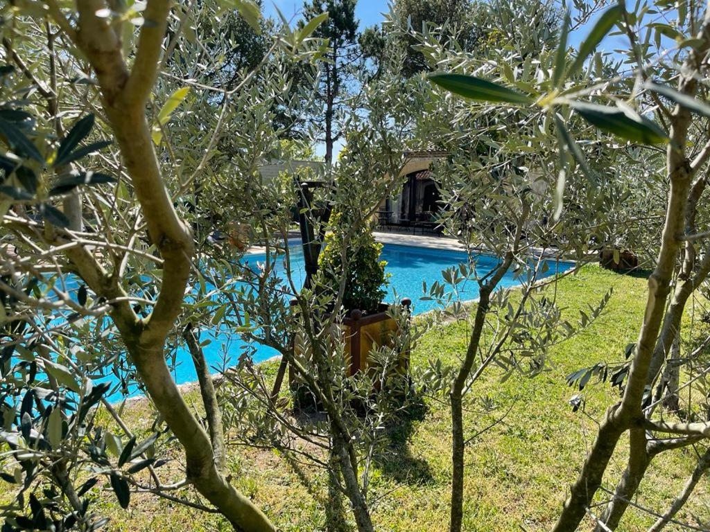 Gite au coeur de la Provence & SPA 7