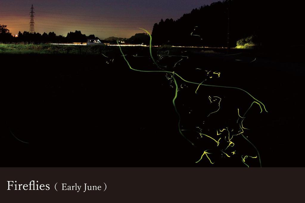 une photo sombre d'une rivière la nuit dans l'établissement Yamanaka Onsen Kissho Yamanaka, à Kaga