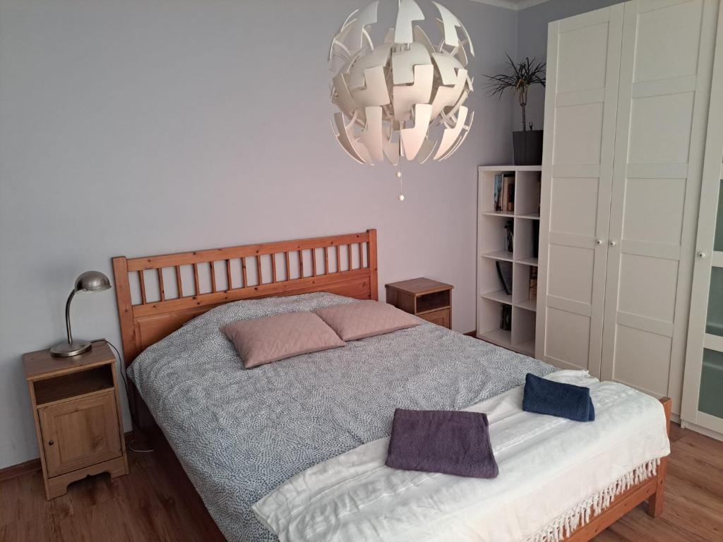Comfortable Apartment close to Spodek 6