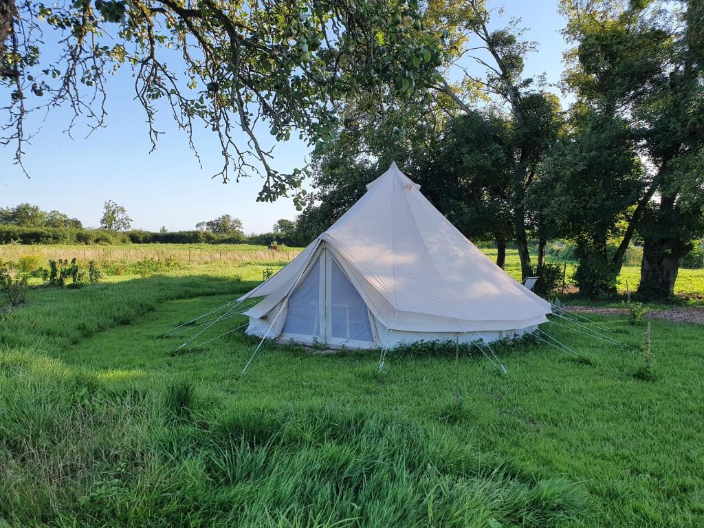 une tente blanche au milieu d'un champ dans l'établissement "la ferme des grands-parents", à Auboncourt-Vauzelles