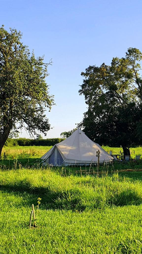 une tente blanche au milieu d'un champ dans l'établissement "la ferme des grands-parents", à Auboncourt-Vauzelles