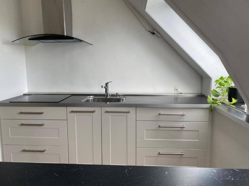 Renovated apartment 5