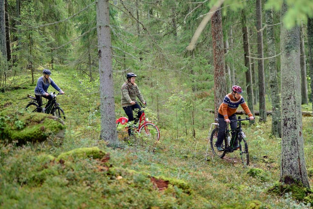 Forest Cabin Ainola next to Nuuksio National Park, in addition Hot Tub and Breakfast 5