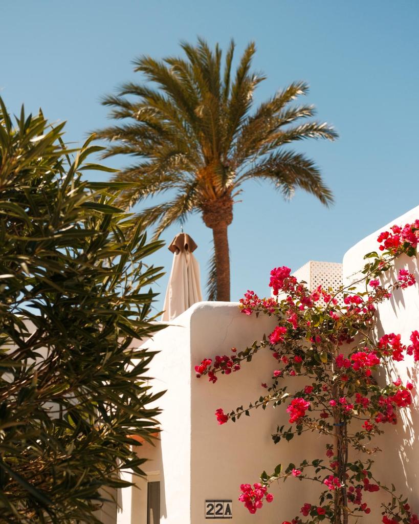 UNIO Ibiza - Adults Only 2