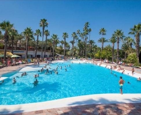 un groupe de personnes dans une grande piscine dans l'établissement La Baume La Palmeraie Camping Resort, à Fréjus