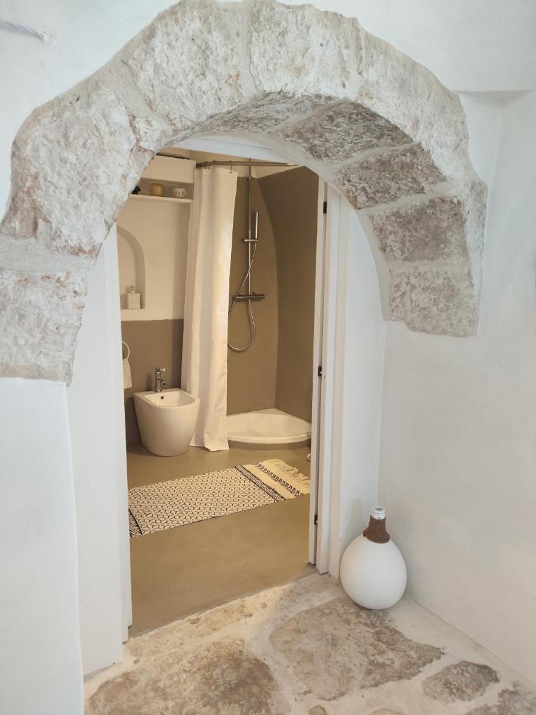 une salle de bain avec une arcade avec une douche et des toilettes dans l'établissement Trulli Pace 1879 Martina Franca, à Martina Franca