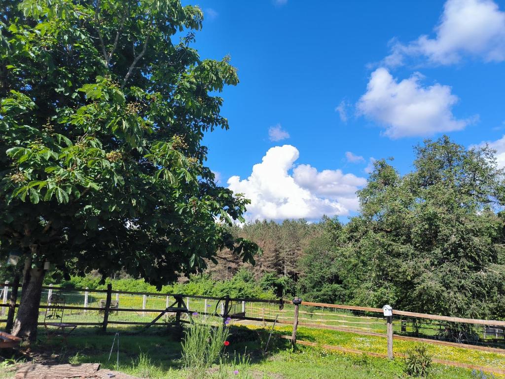 une clôture et un arbre dans un champ dans l'établissement Roulotte insolite La Marivole, à Azay-le-Ferron