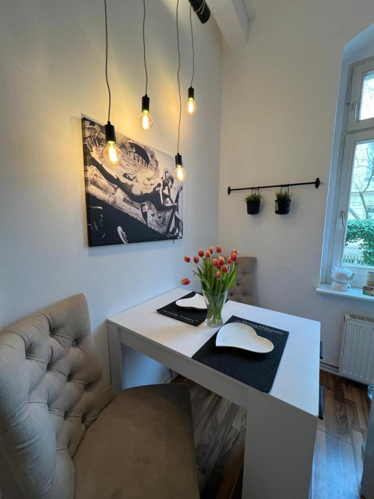 Stylische Altbauwohnung Dresden Striesen ruhig und zentral 8