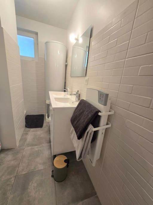 Maison ~Spa privatif & Piscine~ Vieille Toulouse 3
