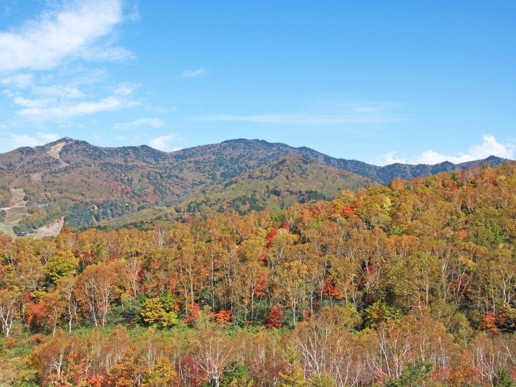 - une vue sur les montagnes à l'automne dans l'établissement Hotel Iwasuge, à Yamanouchi