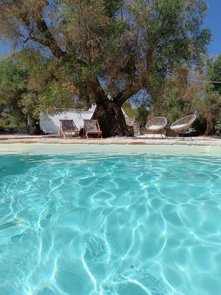 une piscine avec deux chaises et un arbre dans l'établissement Trullo Terracielo, à Ceglie Messapica