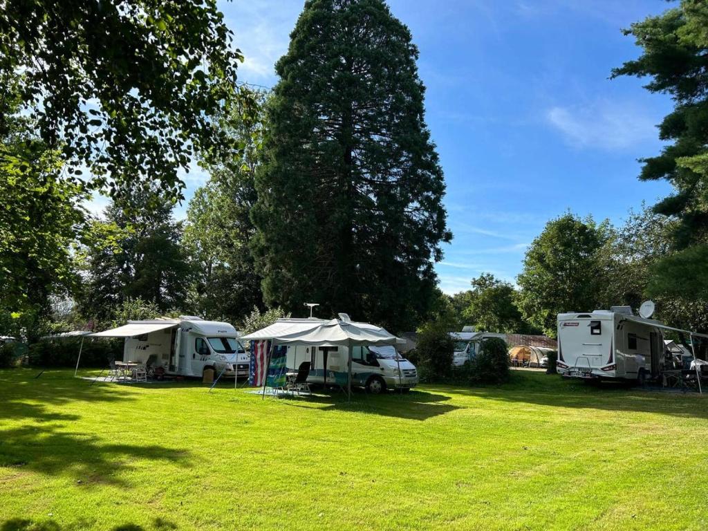 un champ avec deux aires de stationnement dans l'herbe dans l'établissement Camping des Bains, à Saint-Honoré-les-Bains