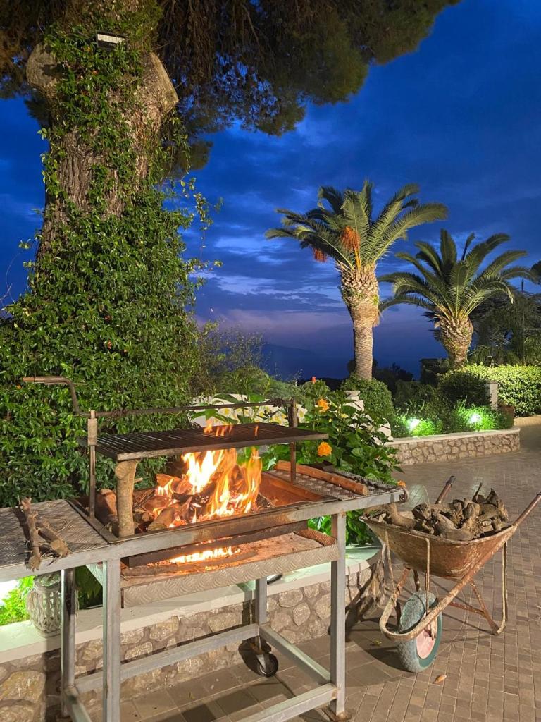 un gril à feu avec des palmiers en arrière-plan dans l'établissement Villa con piscina con 8 camere matrimoniali ad Anacapri, by La Canostra Capri, à Anacapri