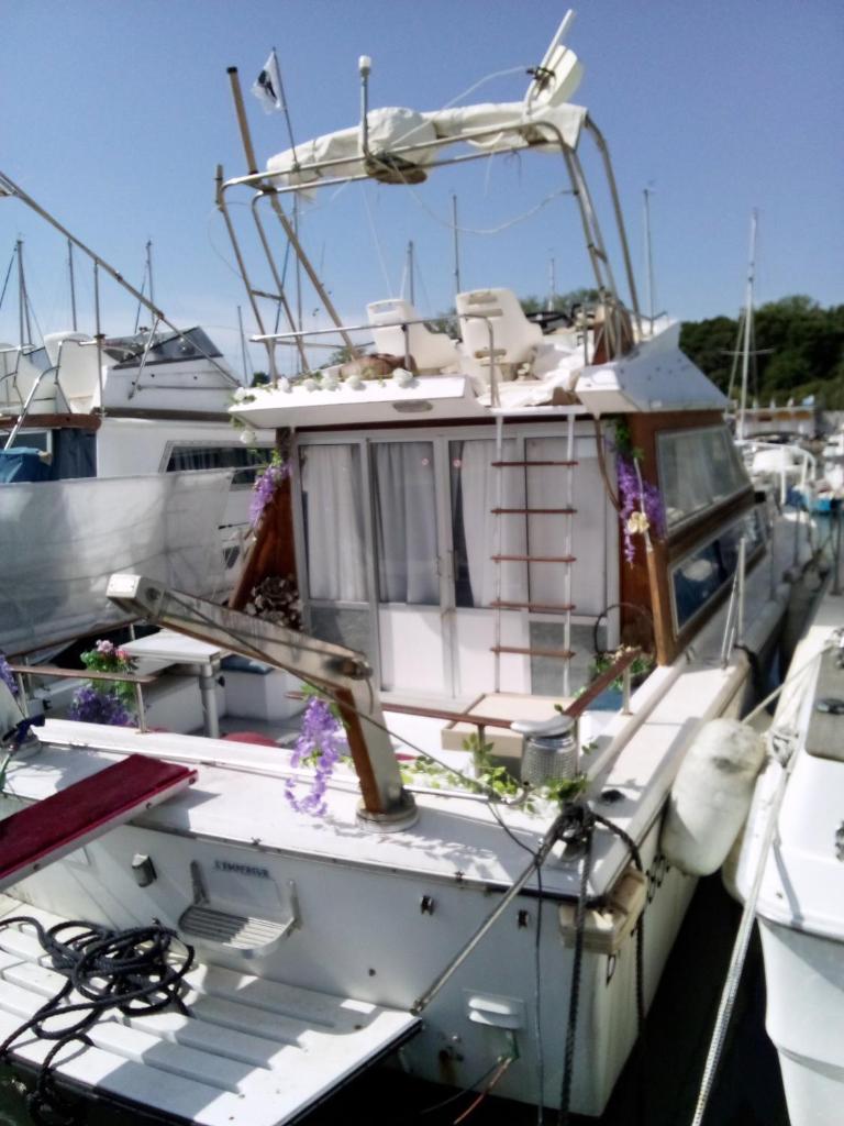 Photo de la galerie de l'établissement l'insolite !!! Le tutto bene, à Moriani-Plage
