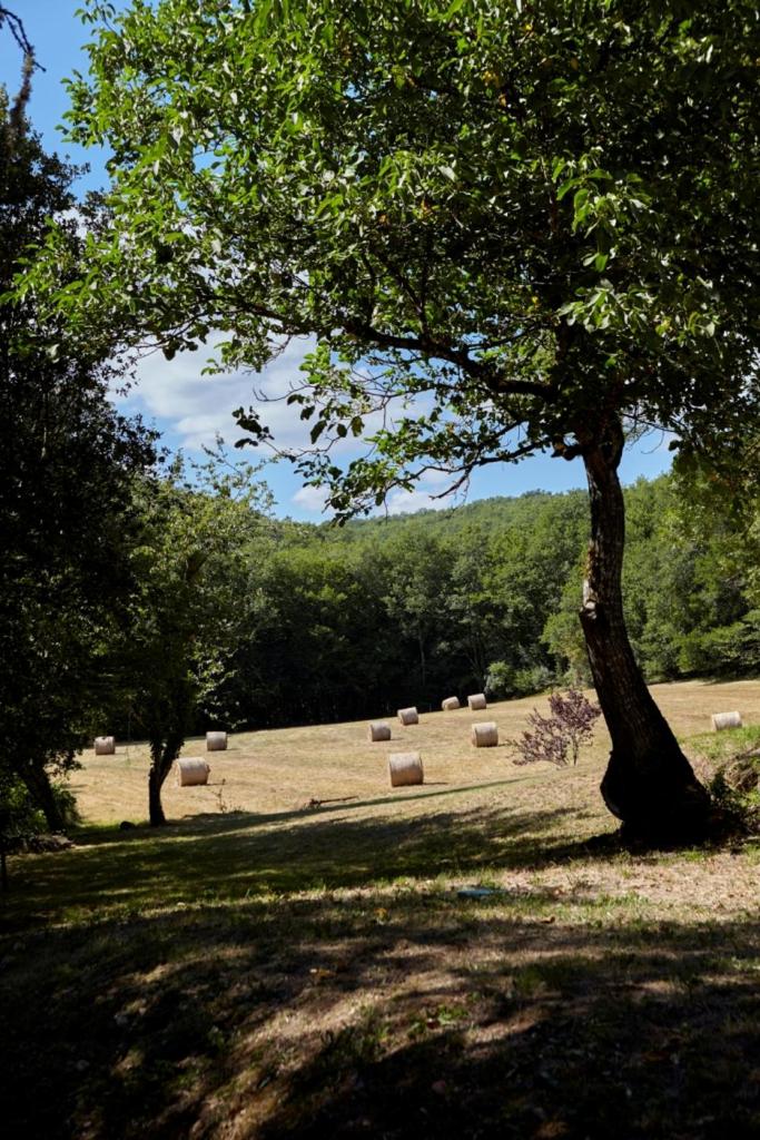 Domaine de Cantegrel - Gîtes de Charme et Suite Troglodyte en Périgord 7