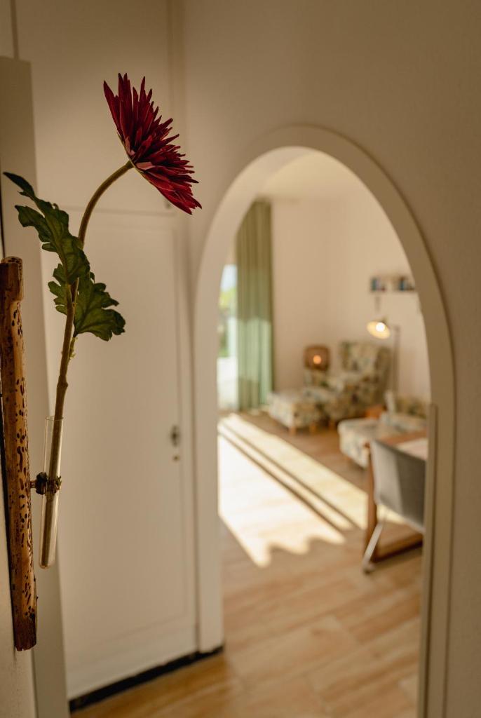 Casa Simón 3
