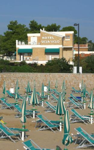 une bande de chaises longues et de parasols devant un bâtiment dans l'établissement Hotel Vela Velo Club Vieste, à Vieste
