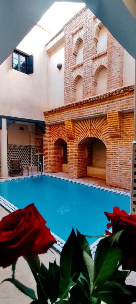 - une piscine dans un bâtiment avec une rose rouge dans l'établissement Riad Sarasvati, à Marrakech