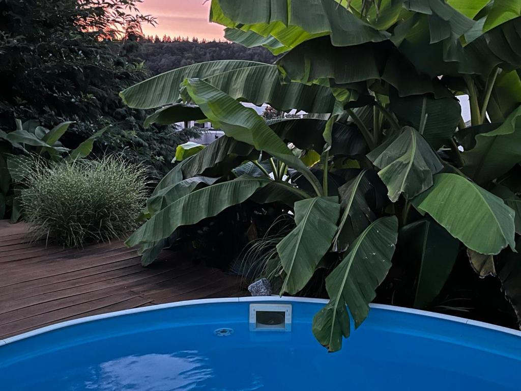 City Chillout Heidelberg Appartement with Sauna & Pool 3