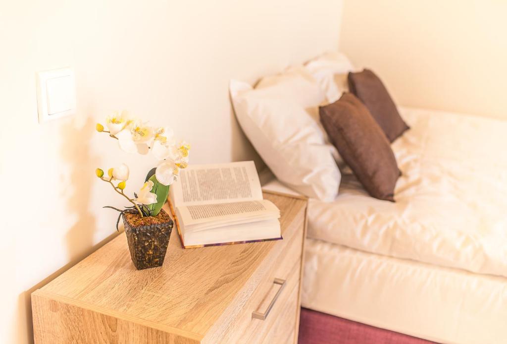 Dzirnavu City Center Apartment 7