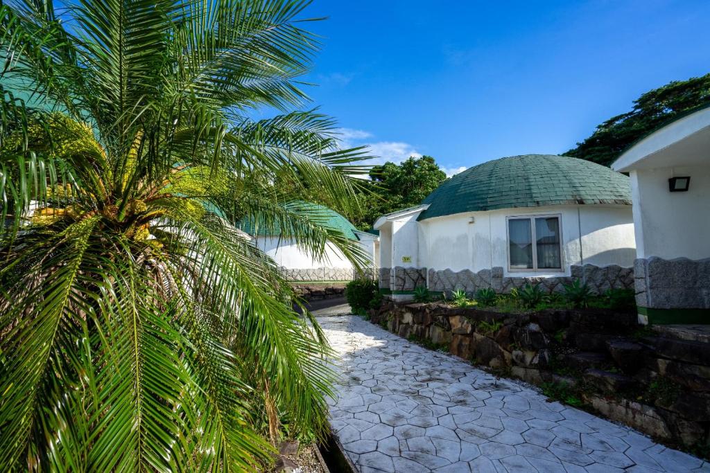 un palmier devant un bâtiment dans l'établissement Jomon no Yado Manten, à Yakushima