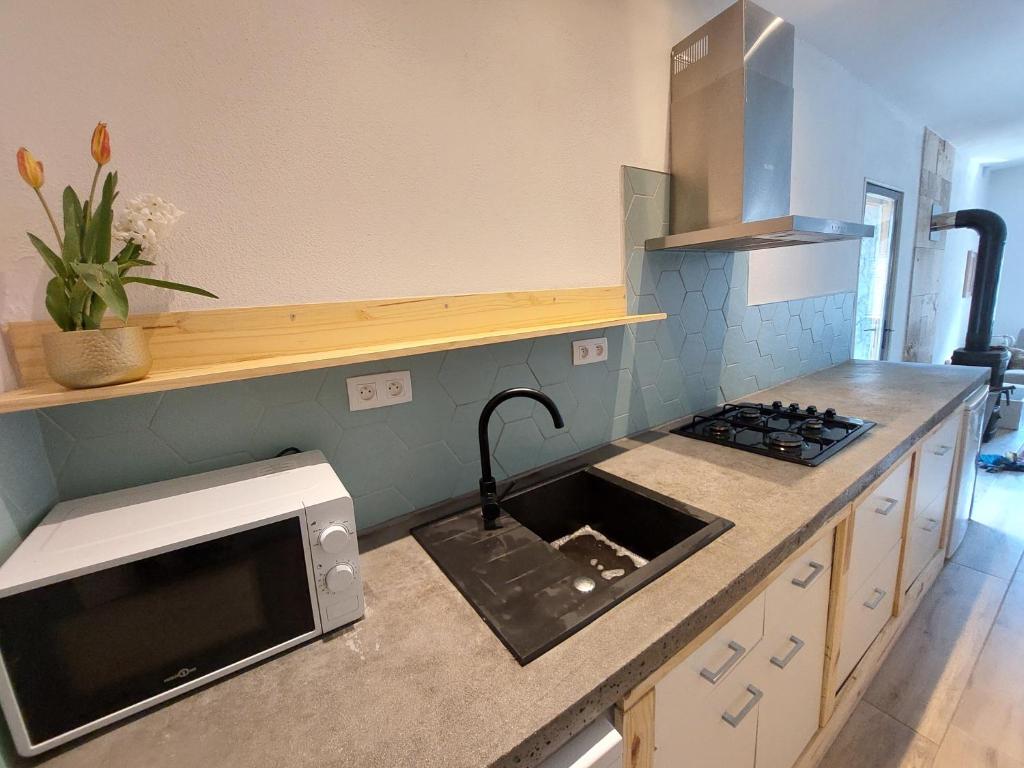 une cuisine avec un évier et un micro-ondes dans l'établissement Gite Charassat, à Saint-Marcel-en-Marcillat
