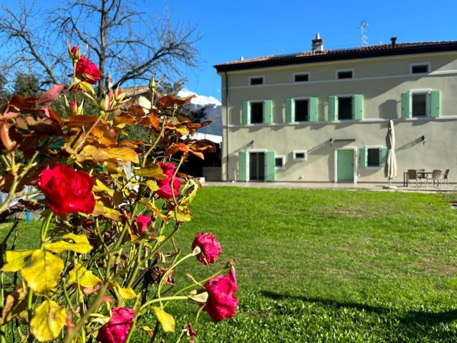 La Casa nella Vigna