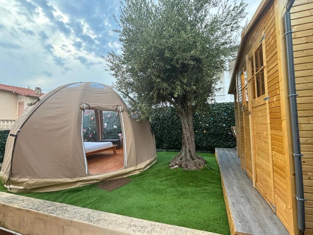 une tente dans une cour à côté d'un arbre dans l'établissement Glamping Dôme, à Cagnes-sur-Mer