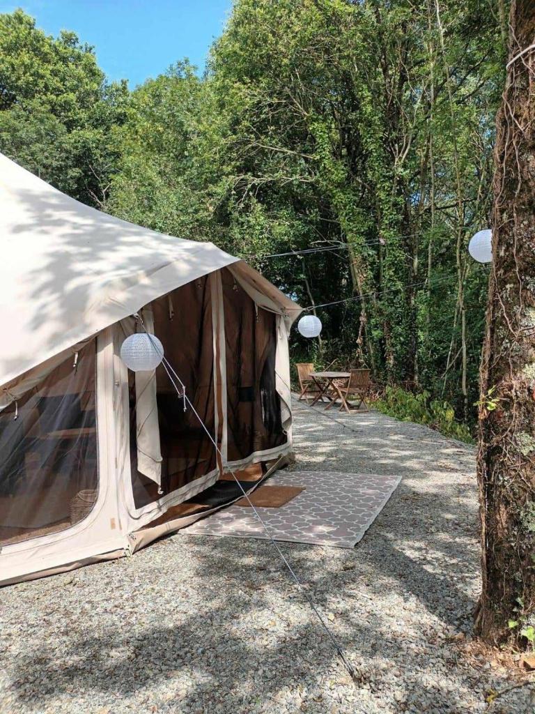 Une tente est installée à côté d'un arbre. dans l'établissement Glamping tent in de rust, met zwembad, badkamer en keuken, à Lacapelle-Pinet