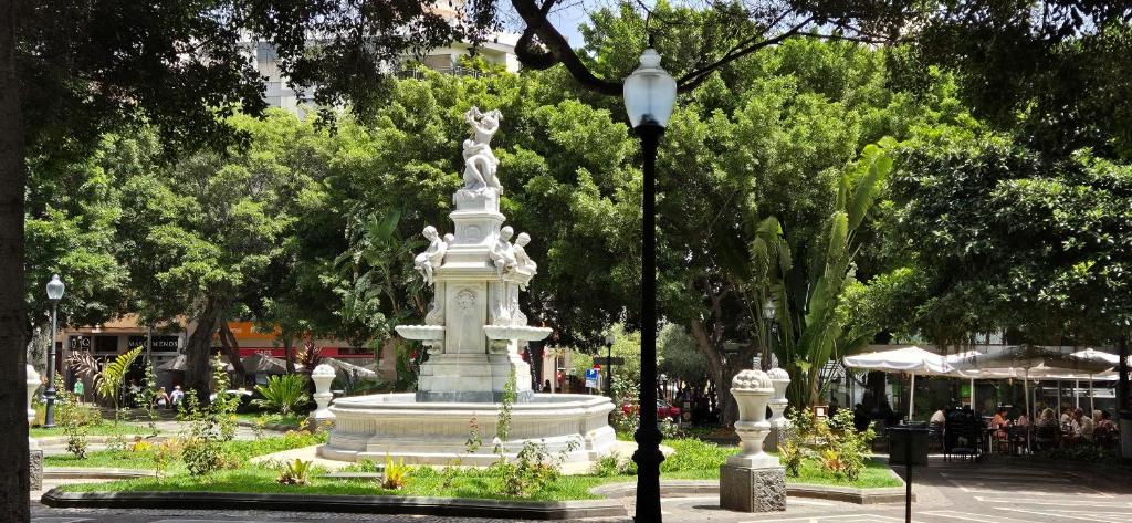 santa cruz centro 7