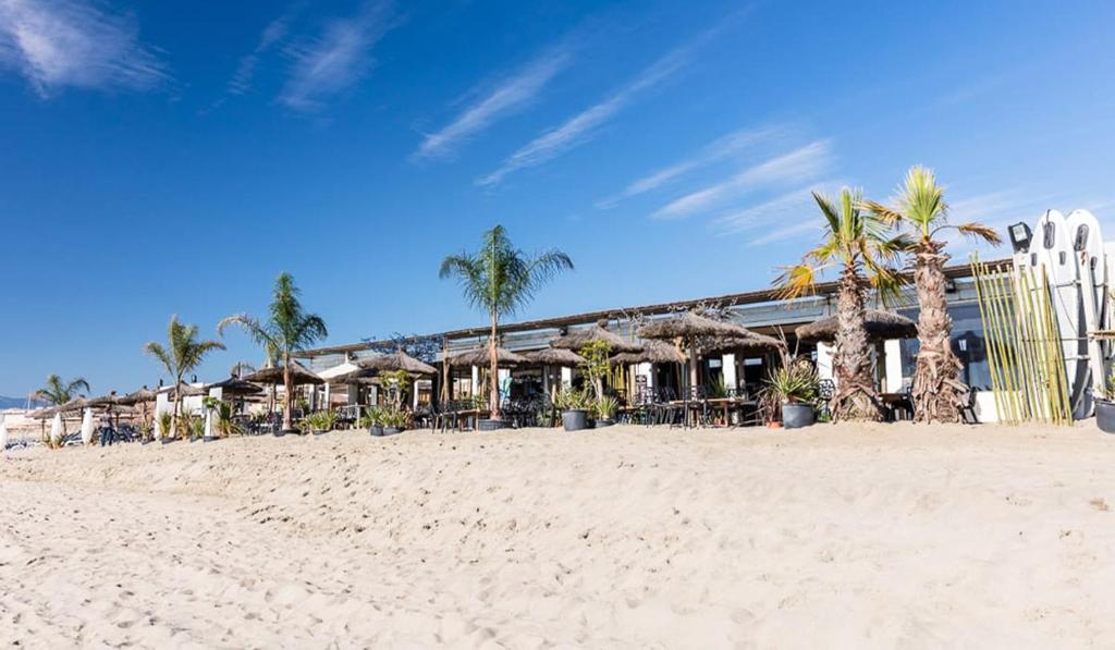un complexe sur la plage avec des palmiers et une plage de sable dans l'établissement Bungalow confort dans Camping 4 étoiles Marina de Canet Front de mer, à Canet