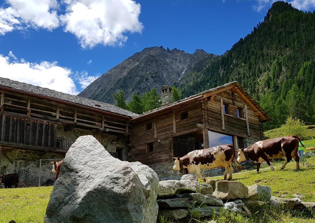 Incantevole appartamento in Rascard VDA AYAS 0139