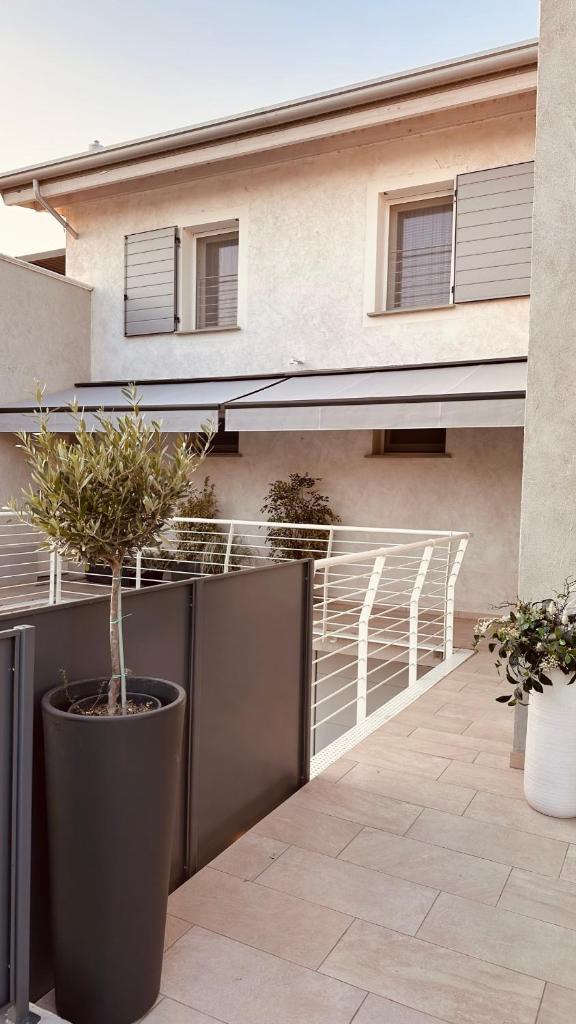 un arbre en pot dans un grand pot sur un balcon dans l'établissement Isaia Luxury, à San Martino della Battaglia