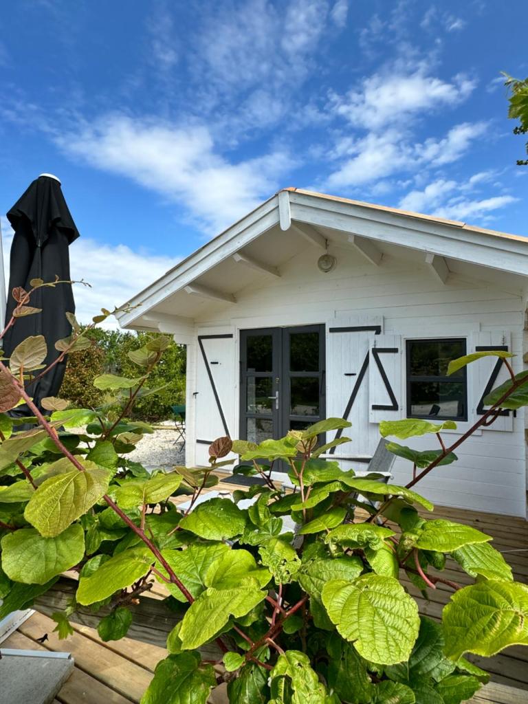 une petite maison blanche avec beaucoup de feuilles vertes dans l'établissement Gîte La Fontaine de Rocoule, à Rochefort-en-Valdaine