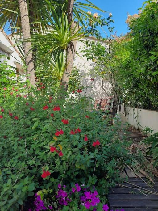 Maison centre Montpellier Jardin et proche plage 8