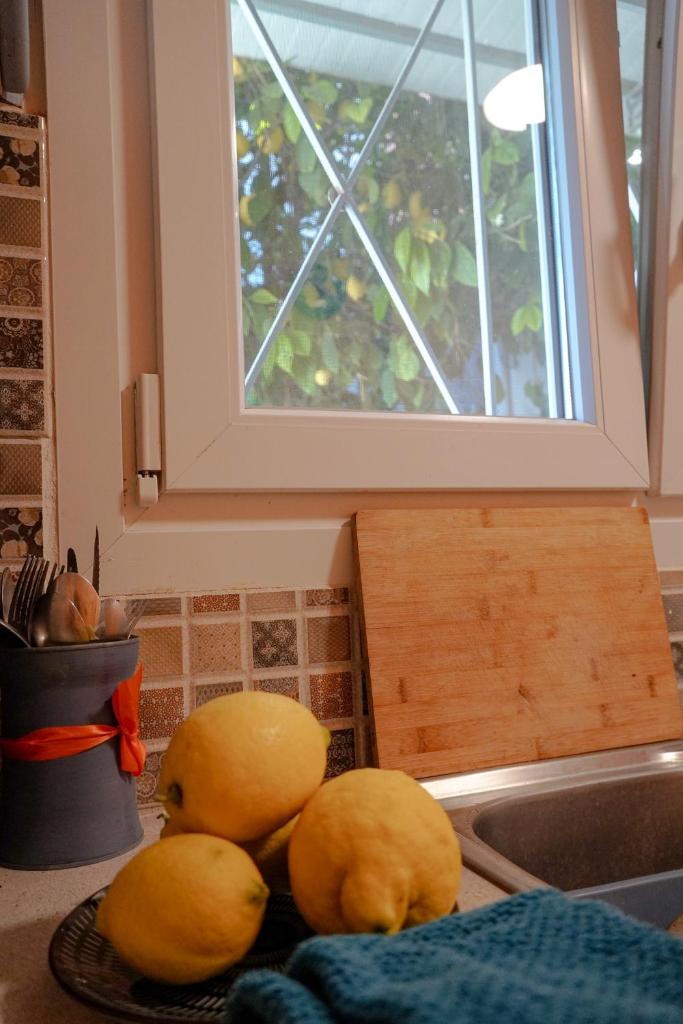 The Tiny House of the Lemon Tree 4