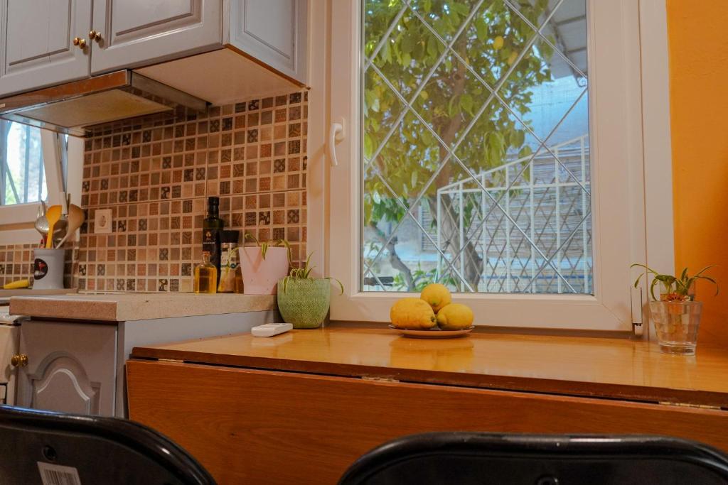 The Tiny House of the Lemon Tree 8