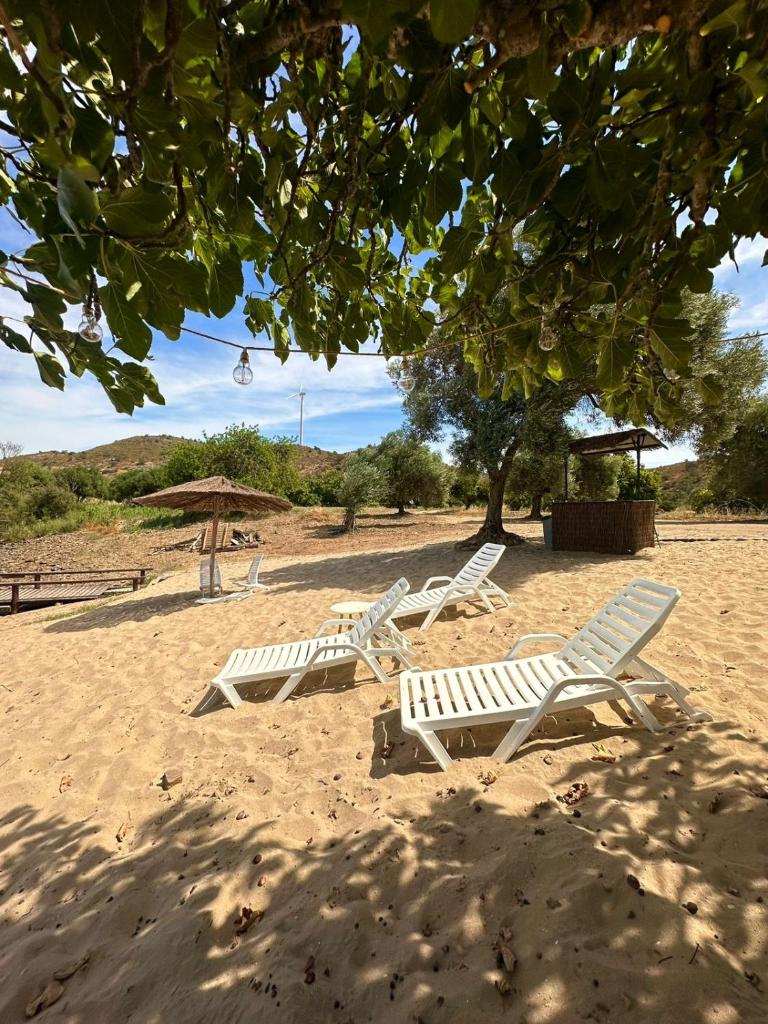 Magnífica casa a orillas del guadiana 8