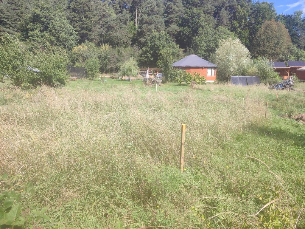 Paysage naturel près de la tente de luxe
