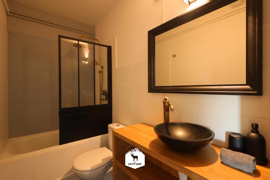 La salle de bains est pourvue d'un lavabo et de toilettes. dans l'établissement Le Petit Ours & Le Petit Cerf - Studios vue lac & montagnes, aux Angles 20 autres photos