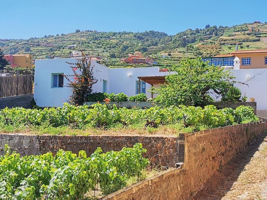 Casa entre viñedos 5