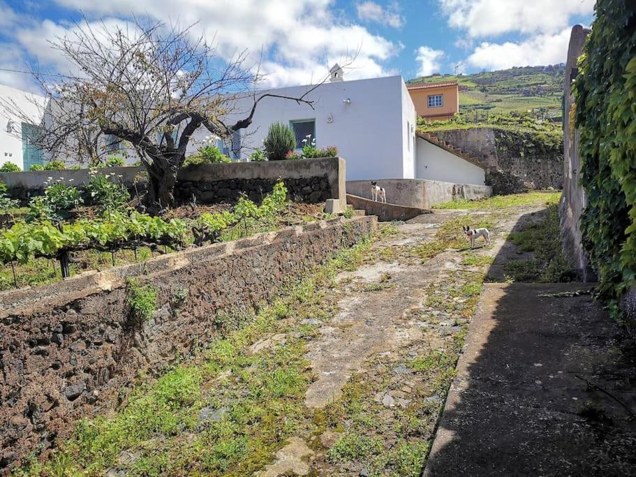 Casa entre viñedos 7