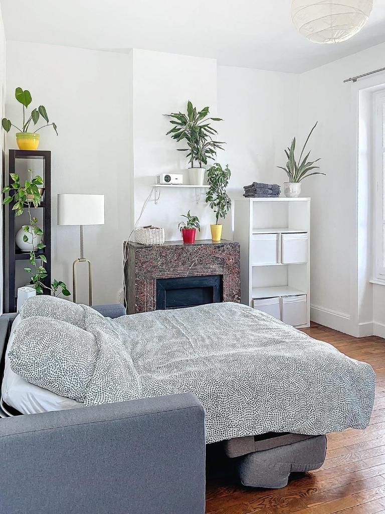 Spacieux T3 80m2 plein centre presque ile ! 2