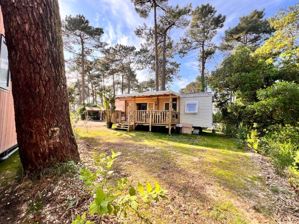 une petite maison dans une cour à côté d'un arbre dans l'établissement Un toit sur le bassin bungalow, à Claouey