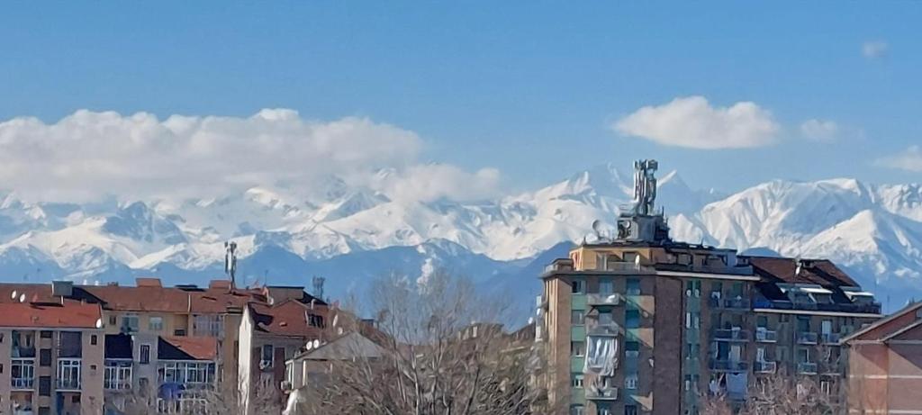 Tania House, Metro Italia 61 6