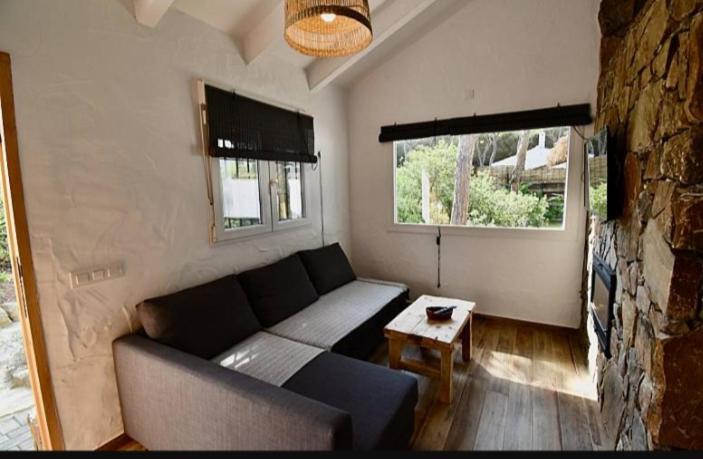 Casa Palmito 7